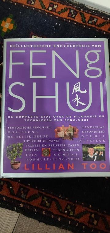 Feng Shui Encyclopedie - Lillian Too beschikbaar voor biedingen