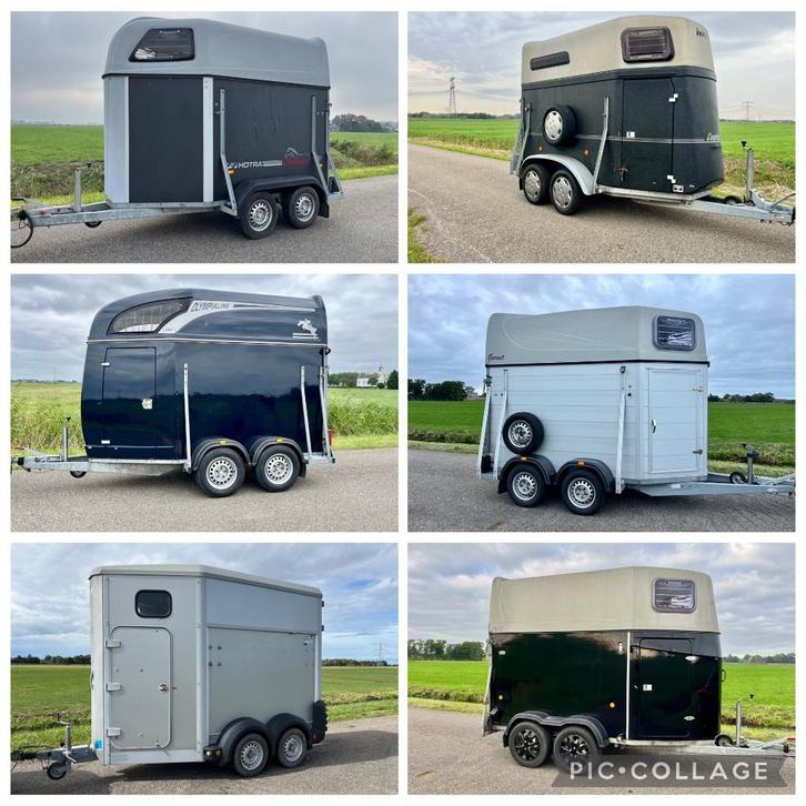 10Trailers aanbod 1,5 paards trailers met aluminium bodem, Dieren en Toebehoren, Paarden en Pony's | Trailers en Aanhangwagens