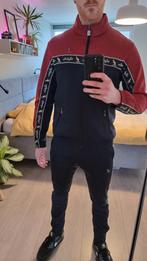 Australian Acetate Bordeauxrood/Zwart Trainingsjack en broek, Maat 52/54 (L), Ophalen of Verzenden, Zo goed als nieuw, Australian