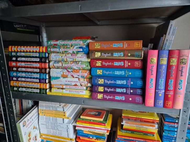 Waanzinnige Boomhut + Dagboek Muts + Leven van een loser, Boeken, Kinderboeken | Jeugd | 10 tot 12 jaar, Zo goed als nieuw, Ophalen of Verzenden