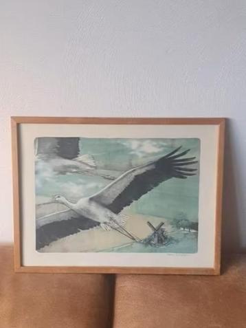 Litho ooievaar in vogelvlucht Clarence & Kristoffer beschikbaar voor biedingen