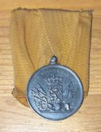 Zilveren medaille voor trouwe dienst Juliana, Verzamelen, Ophalen of Verzenden, Landmacht, Nederland, Lintje, Medaille of Wings