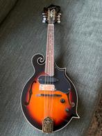 Harley Benton Mandoline, Muziek en Instrumenten, Snaarinstrumenten | Mandolines, Ophalen of Verzenden, Gebruikt