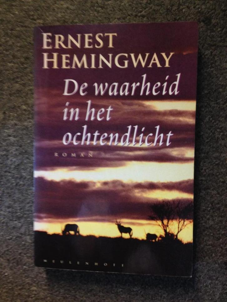 De waarheid in het ochtendlicht; door Ernest Hemingway, Boeken, Literatuur, Gelezen, Amerika, Ophalen of Verzenden