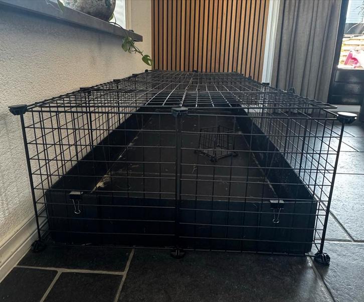 Cavia draadkubus kooi, Dieren en Toebehoren, Knaagdieren en Konijnen | Hokken en Kooien, Kooi, 90 cm of meer, 110 cm of meer, Cavia