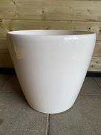 Bloempot - kunststof, Ophalen of Verzenden
