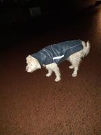 Verschillende spulletjes voor de hond in of na de regen, Ophalen of Verzenden, Gebruikt