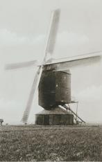 Maasniel bij Roermond Donderbergse Molen ca. 1975, Ophalen of Verzenden, 1960 tot 1980, Ongelopen, Limburg