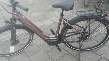 Elektrische fietsen en Fatbike beschikbaar voor biedingen