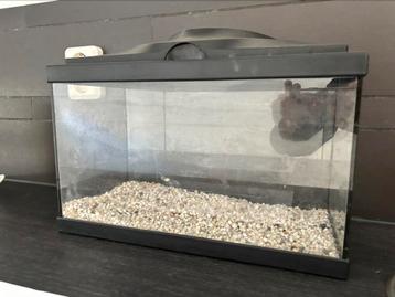 Aquarium vissen klein zwart dik glas 40cm ciano 