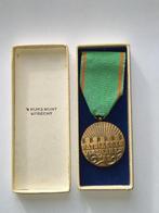 Vrijwilligersmedaille ('s Rijksmunt geslagen), Ophalen of Verzenden, Landmacht, Nederland, Lintje, Medaille of Wings