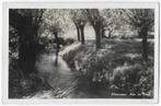 Meerssen ( L )  Oude gelopen  Ansichtkaart ( B3801), Verzamelen, Ansichtkaarten | Nederland, Ophalen of Verzenden, 1940 tot 1960
