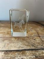 Paardensport prijs trophee glas 1x, Dieren en Toebehoren, Ophalen of Verzenden, Zo goed als nieuw