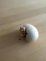 Keramische Clown uit Ei - Gesigneerd R.M Mexico, Antiek en Kunst, Kunst | Beelden en Houtsnijwerken, Ophalen of Verzenden