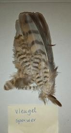 72 (Roof) vogelveren  Gans  Kerkuil Ransuil Struisvogel/Emoe, Verzamelen, Dierenverzamelingen, Ophalen of Verzenden, Zo goed als nieuw