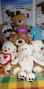 REserveer een Beer, nieuwe lieve frisse knuffelberen en Olli, Ophalen of Verzenden, Nieuw, Beer