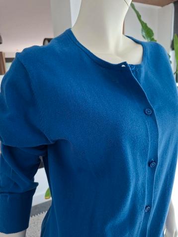 Blauw Steppin Out Vestje XL 44  Cashmere Katoen koningsblauw beschikbaar voor biedingen