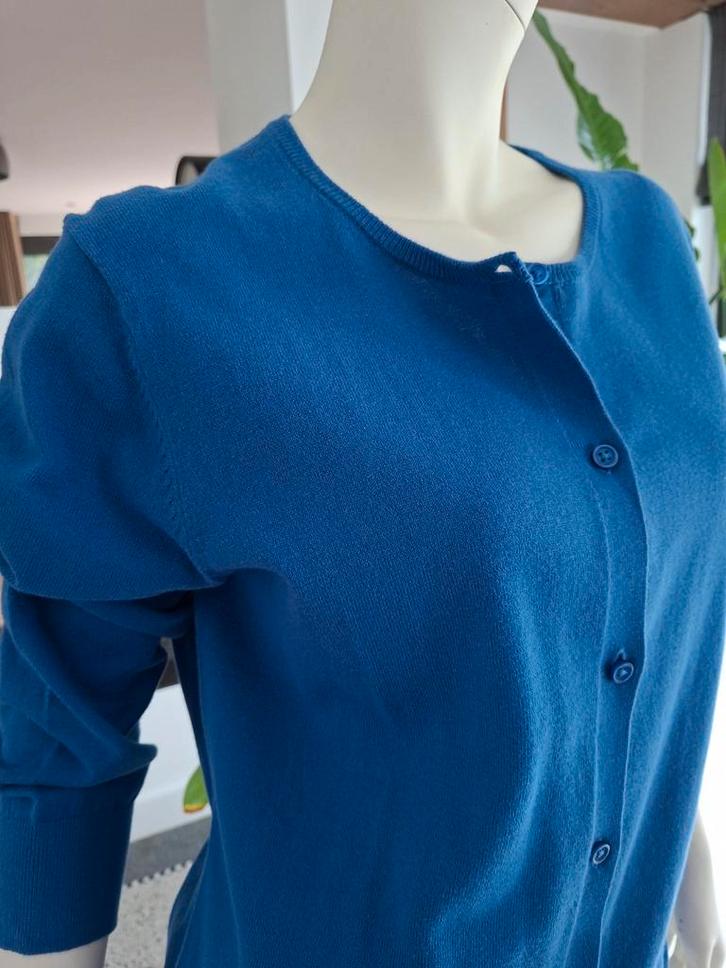 Blauw Steppin Out Vestje XL 44  Cashmere Katoen koningsblauw, Kleding | Dames, Truien en Vesten, Nieuw, Maat 42/44 (L), Blauw