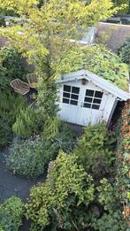Tuinhuisje met eco dak, 250 tot 500 cm, Ophalen of Verzenden, Hout, 200 tot 400 cm