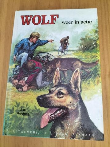 Jan Postma Wolf weer in actie  beschikbaar voor biedingen
