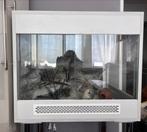 Terrarium 70/60/60, Dieren en Toebehoren, Reptielen en Amfibieën | Toebehoren, Ophalen of Verzenden, Nieuw, Terrarium of Paludarium