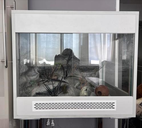 Terrarium 70/60/60, Dieren en Toebehoren, Reptielen en Amfibieën | Toebehoren, Nieuw, Terrarium of Paludarium, Ophalen of Verzenden