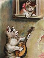 fr relief 1903 menselijk poes gitaar serenade onder raam kat, Verzamelen, Ansichtkaarten | Themakaarten, Gelopen, Overige thema's