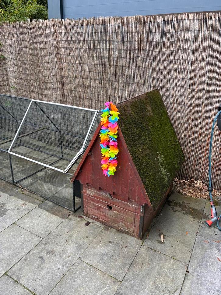 Kippenhok en kippenren, Dieren en Toebehoren, Knaagdieren en Konijnen | Hokken en Kooien, Gebruikt, Hok, 90 cm of meer, 110 cm of meer