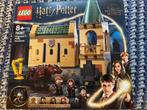 LEGO Harry Potter - Pluizige Ontmoeting - 76387, Ophalen of Verzenden, Gebruikt, Complete set, Lego