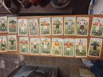 Vintage voetbal plaatjes, Hobby en Vrije tijd, Stickers en Plaatjes, Ophalen of Verzenden, Meerdere plaatjes
