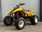 Polaris Trailblazer 250 Geel 2 TAKT AUTOMAAT!!! 2006, 1 cilinder, 250 cc, 12 t/m 35 kW