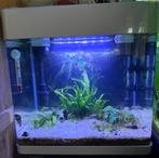 Aquarium panarama led 37 liter (loopt nog), Dieren en Toebehoren, Ophalen of Verzenden, Zo goed als nieuw, Leeg aquarium