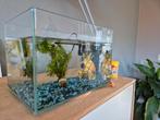 Aquarium, pomp, speelobject en bodemgrind, Dieren en Toebehoren, Ophalen, Gebruikt, Leeg aquarium
