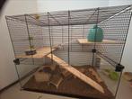 Goudhamster incl kooi en toebehoren., Kooi, Minder dan 75 cm, Zo goed als nieuw, Ophalen