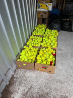 150 gebruikte tennisballen in doos, Tuin en Terras, Kweekspullen, Ophalen of Verzenden, Gebruikt