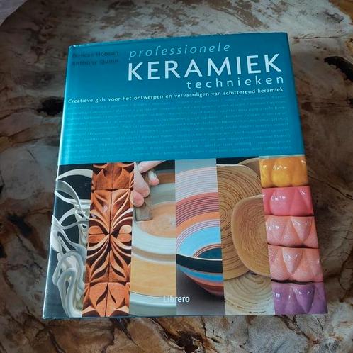 Professionele keramiek technieken., Boeken, Hobby en Vrije tijd, Zo goed als nieuw, Ophalen of Verzenden