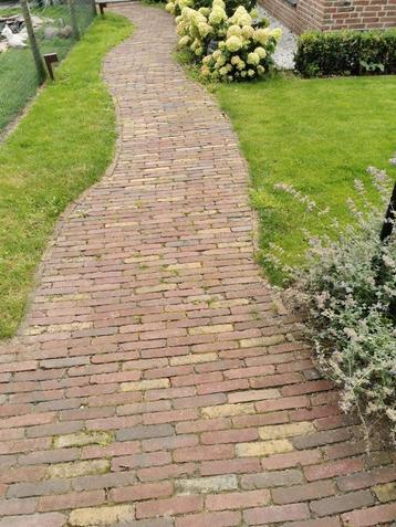Waaltjes beschikbaar voor biedingen