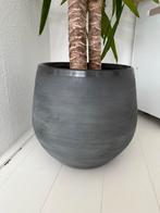Mica decorations D 29 cm grijs pot, Rond, Binnen, Zo goed als nieuw, Minder dan 40 cm