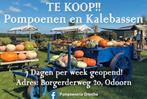 Pompoenen/ kalebassen, Ophalen, Nieuw