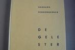 DE GELE STER / Jodenvervolging in Europa / 1933 - 1945 / WO2, Boeken, Ophalen of Verzenden, Tweede Wereldoorlog, Gelezen, Overige onderwerpen
