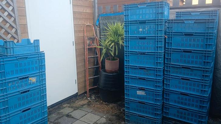 Groentekratjes te koop - Emballage, Doe-het-zelf en Verbouw, Kratten en Dozen, Ophalen of Verzenden