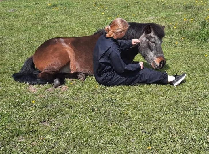 Ervaren dieren oppas aangeboden, Dieren en Toebehoren, Overige Dieren-accessoires, Ophalen