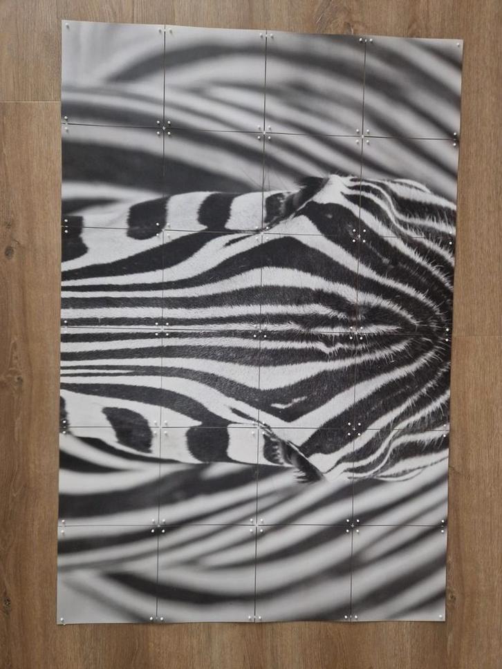 IXXI Wandposter Zebra, Huis en Inrichting, Woonaccessoires | Schilderijen, Tekeningen en Foto's, Zo goed als nieuw, Foto of Poster