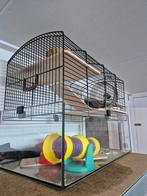 Complete hamsterkooi, Kooi, Gebruikt, Minder dan 75 cm, Hamster