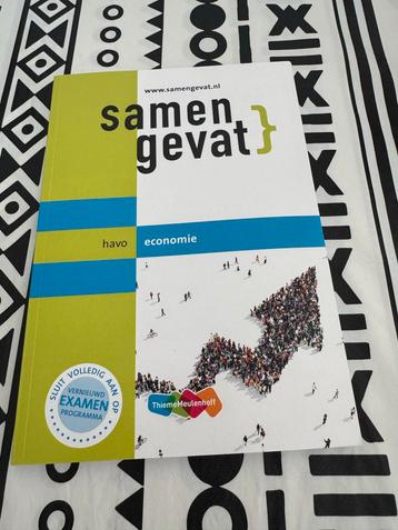 Samengevat Havo Economie - Goede Staat beschikbaar voor biedingen