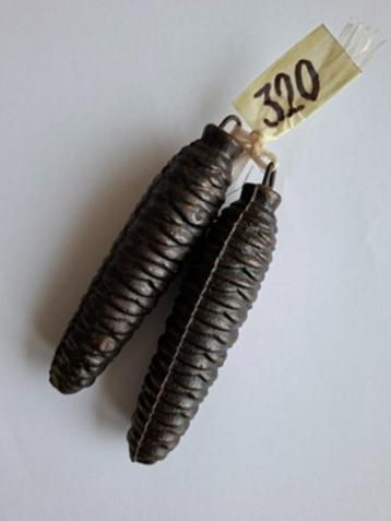 Koekoeksklok gewichten 320 grams beschikbaar voor biedingen