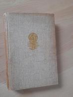 DE GOUDEN POARTE door Th Kuiper friestalig, Boeken, Romans, Ophalen of Verzenden, Gelezen, Nederland