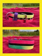 nieuwe regenboog honden halsband, Gallus, 5x50cm, stafford, Dieren en Toebehoren, Ophalen of Verzenden, Handgemaakt, Nieuw