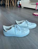 Basket gympen, Wit, Ophalen of Verzenden, Gedragen, Sneakers of Gympen