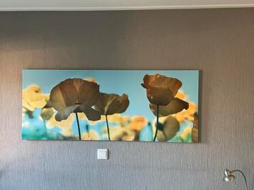 Gratis: grote Poster op frame 140x57cm beschikbaar voor biedingen